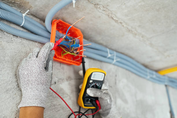 Best 24-Hour Electrician  in Black Creek, WI